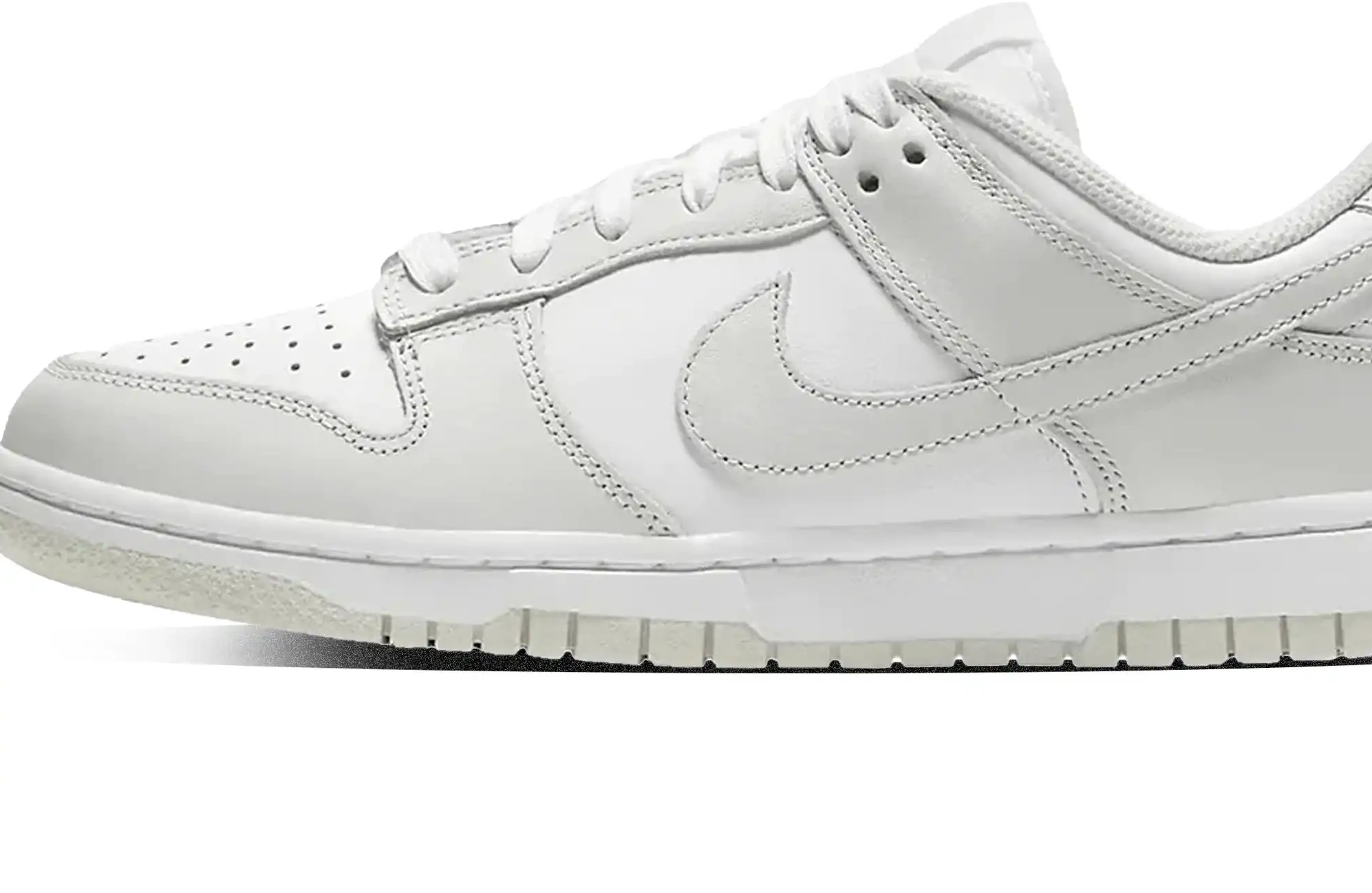 Nike Low Dust W Photon Dunk 0525